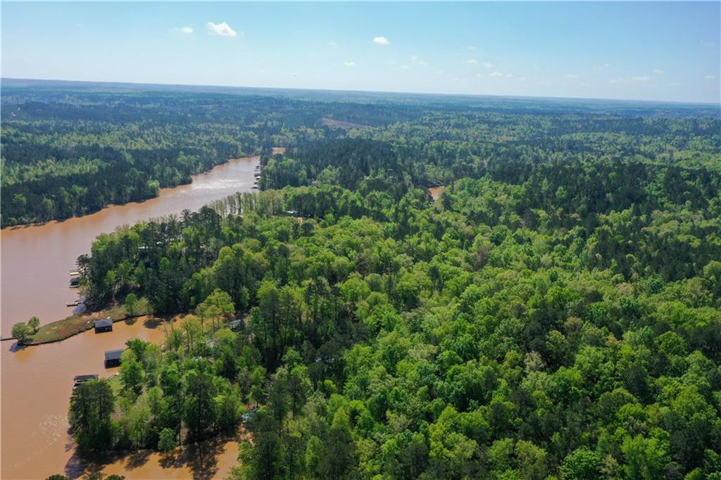 00 Frontiers Drive, Sparta, Georgia image 4