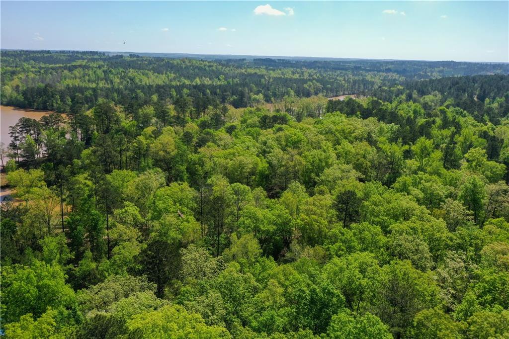 00 Frontiers Drive, Sparta, Georgia image 18