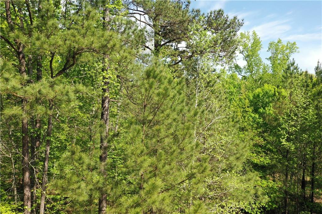 00 Frontiers Drive, Sparta, Georgia image 24