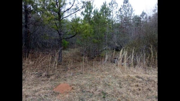 OLD WOODBURY RD, WOODBURY, GA 30293 - Image 63fe047513d8f3784d20ef984e0f1387/2472861002