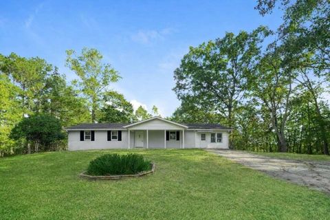 Homes For Sale - 658 Agan Road<br/> Bremen, GA 30110