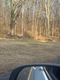 224 SW Dollar Mill Road SW