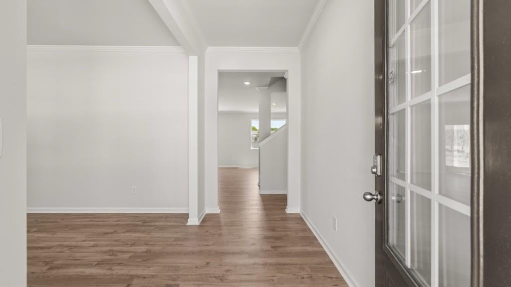 397 Belmont Drive