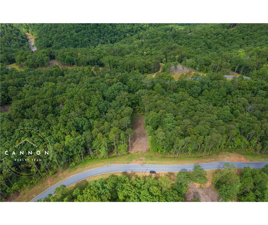 Pebble Trace, Ellijay, Georgia image 6