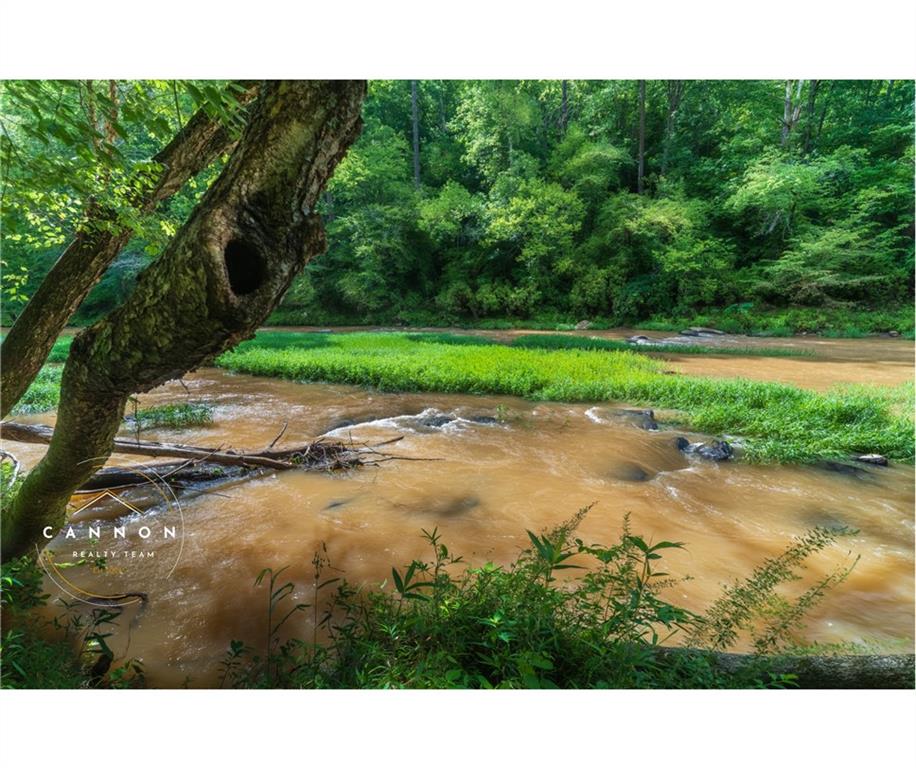 Pebble Trace, Ellijay, Georgia image 17