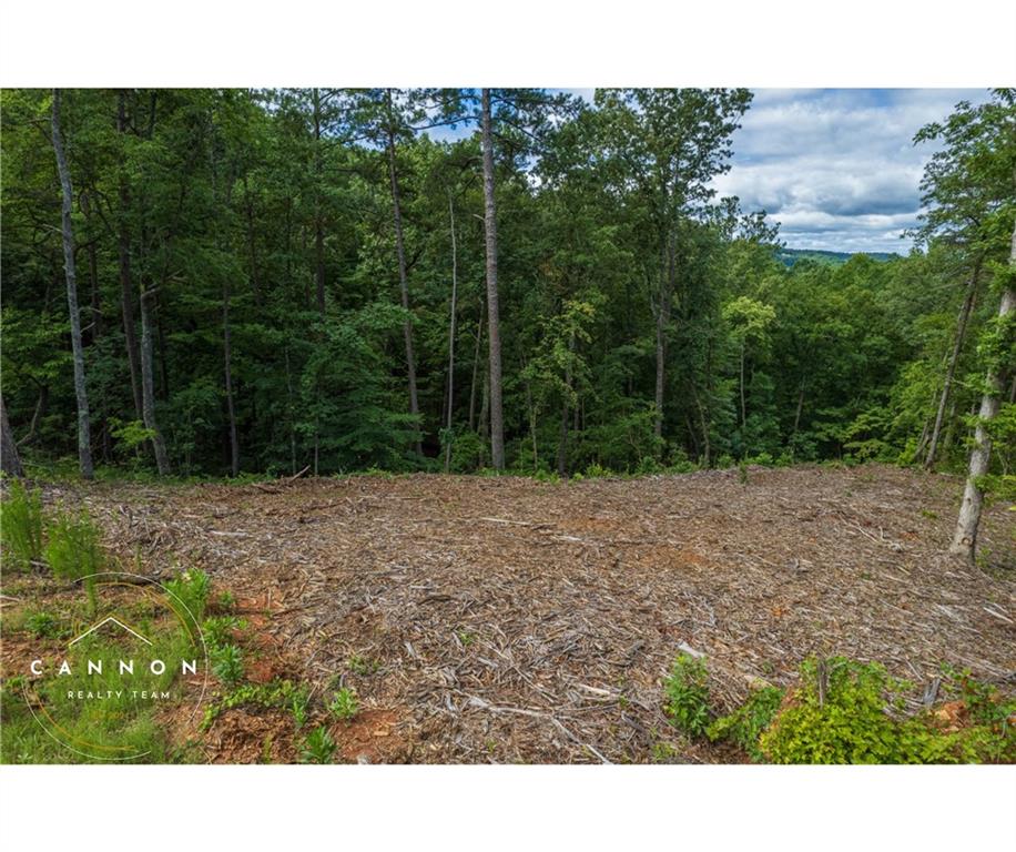 Pebble Trace, Ellijay, Georgia image 8