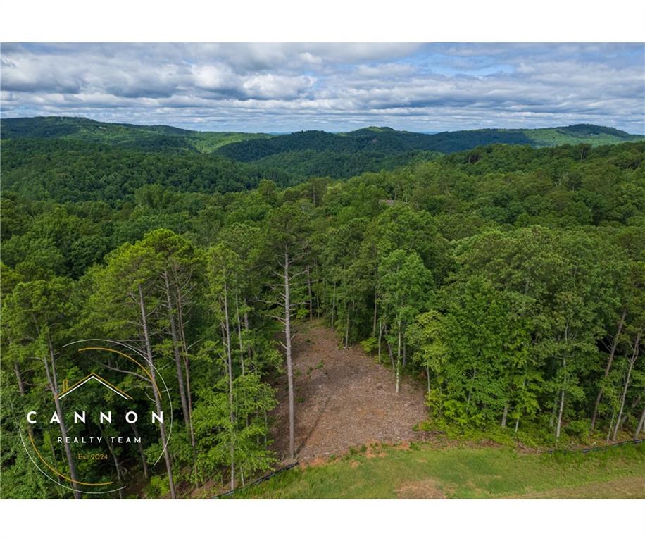 Pebble Trace, Ellijay, Georgia image 12