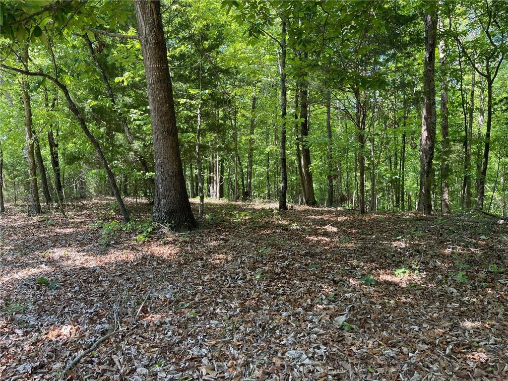 TR 1A Chalcrest Way