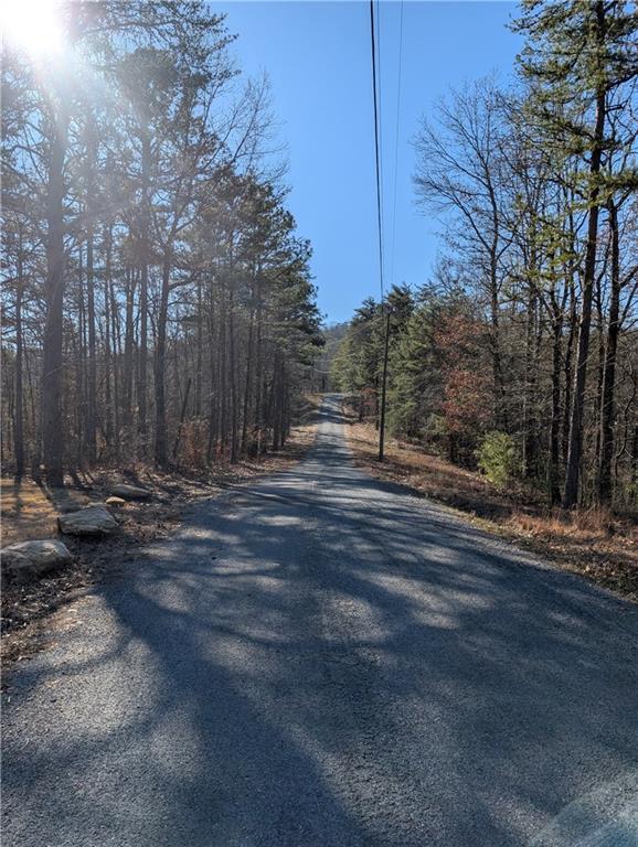 1400 Foxhound Trail, Ranger, Georgia image 10