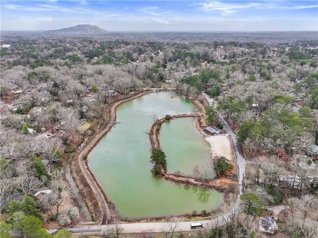 447 Hemlock Drive, Pine Lake, Georgia image 7
