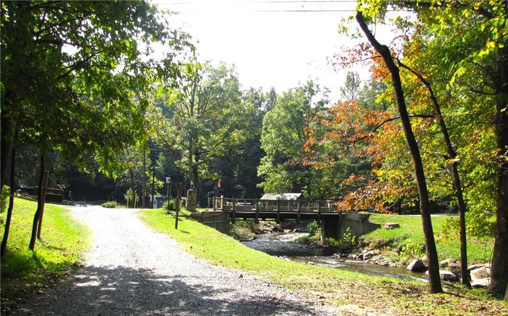 Q24 Goldmine Drive, Ellijay, Georgia image 3