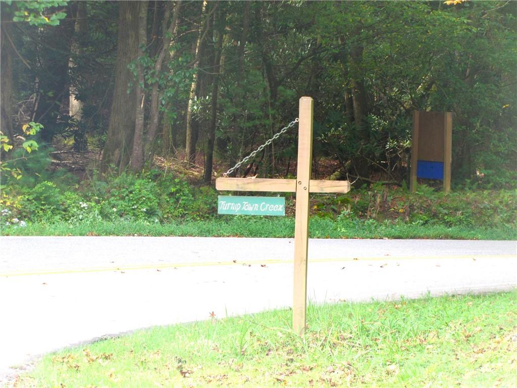 Q24 Goldmine Drive, Ellijay, Georgia image 10