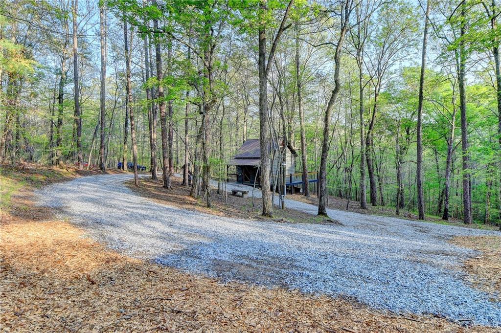 176 Petunia Drive, Dahlonega, Georgia image 4