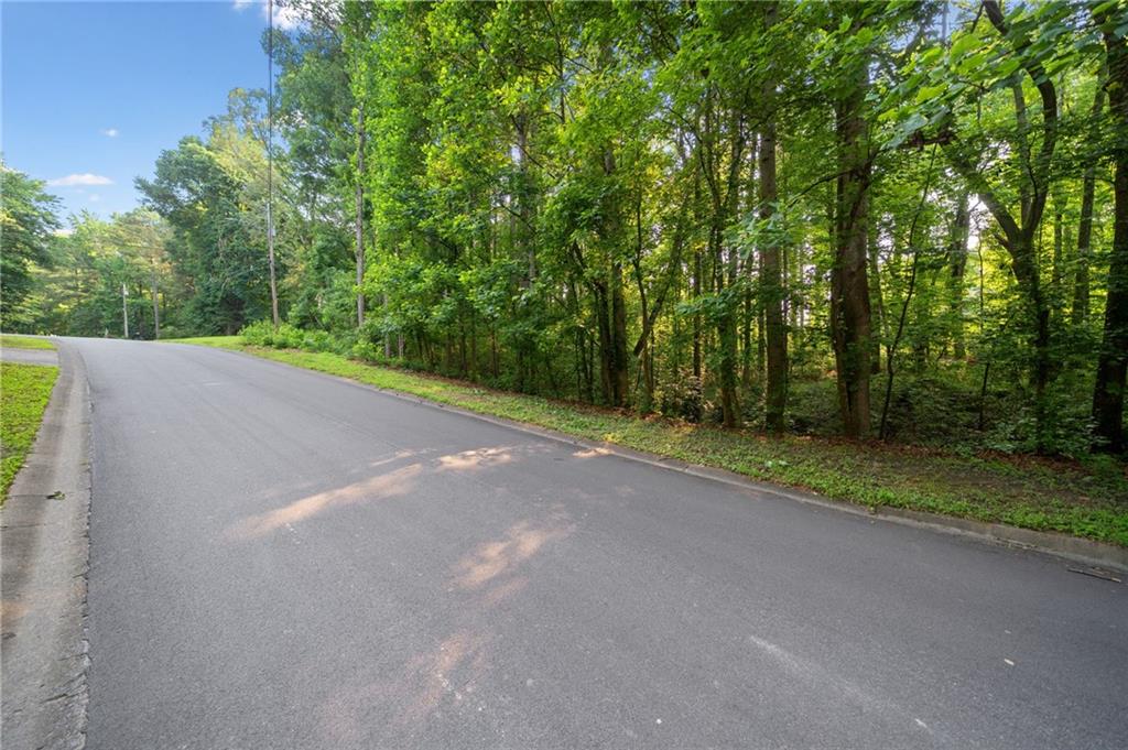 Crabapple Lane, Powder Springs, Georgia image 16