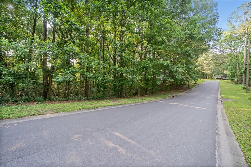 Crabapple Lane, Powder Springs, Georgia image 15