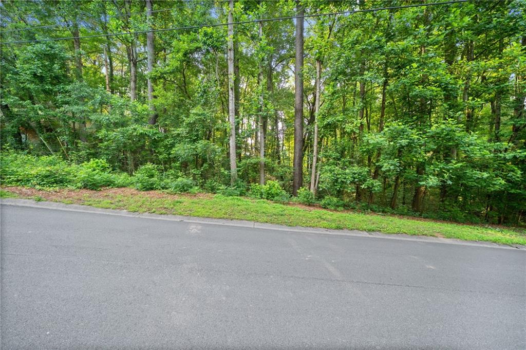 Crabapple Lane, Powder Springs, Georgia image 17