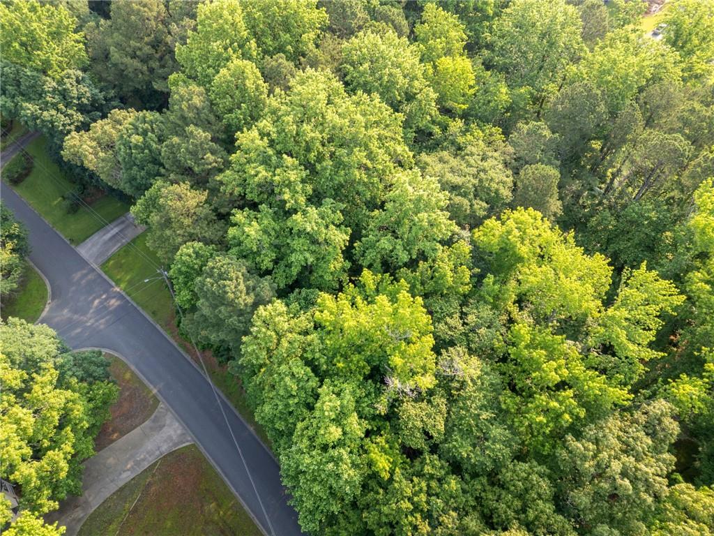 Crabapple Lane, Powder Springs, Georgia image 6