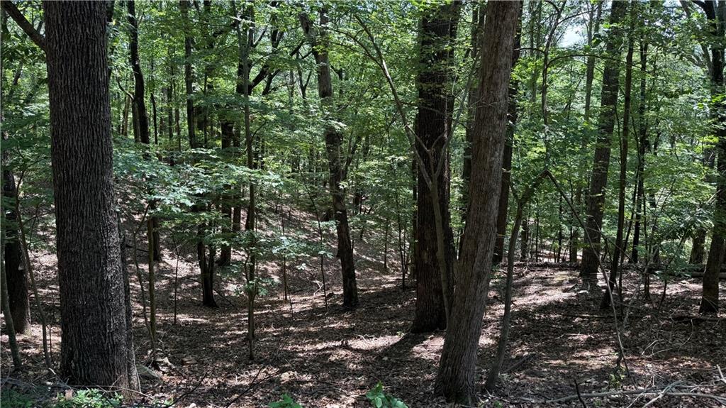 Don’t miss this gently sloping .51-acre lot in the sought-after gated community of Bent Tree, nestled in the beautiful North Georgia mountains. This parcel lays nicely and offers the perfect canvas for your future home or cabin retreat. Located on a quiet street with easy access, this lot provides privacy, nature, and convenience in one serene package.
Bent Tree offers 24/7 security, a championship golf course, lake with beach and fishing, tennis & pickleball courts, hiking trails, stables, and more. Whether you're looking for full-time mountain living or a weekend escape, this lot is your opportunity to be part of a vibrant, amenity-rich community.
Bring your builder and make it yours today!