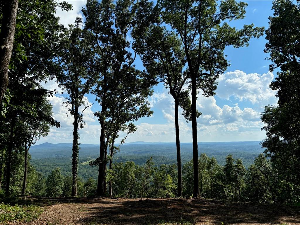 1350 Sunset Ridge, Talking Rock, Georgia image 11