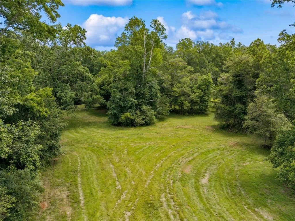 Ball Ground, Georgia 30107, United States, ,Land,Active,158517