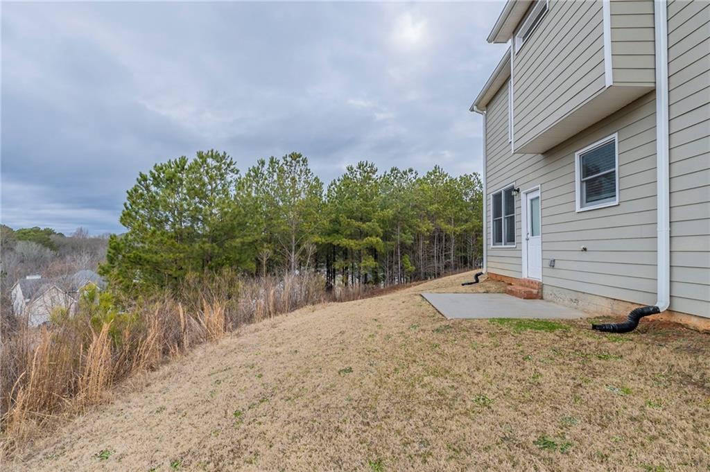 11055 Shadow Court, Hampton, Georgia image 31