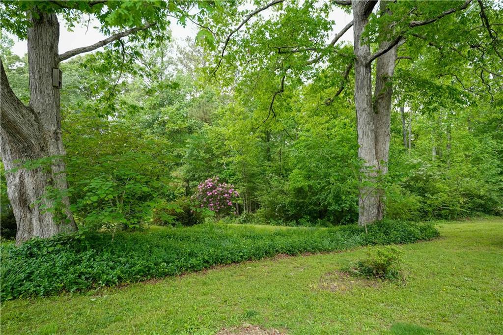 253 Dry Creek Road, Cedartown, Georgia image 17