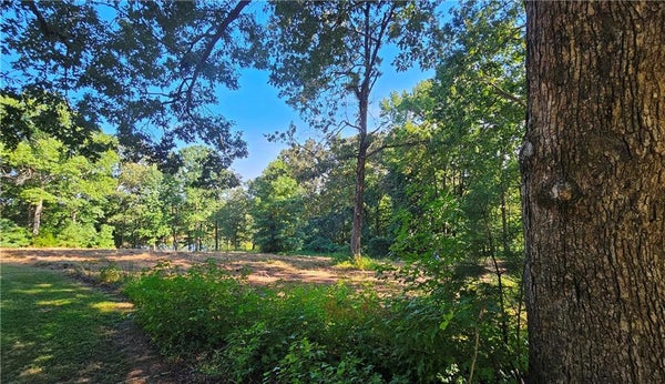 2 SNOTE JONES RD, DALLAS, GA 30132 - Image 655d58f40fa19c9f40b167ae78bc61ff/3104875375