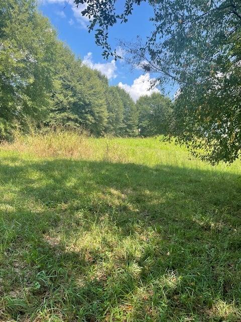 Lot 8 Captains Court
