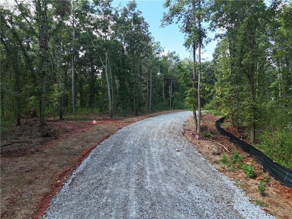 Sanford Lake Drive, Nicholson, Georgia image 3