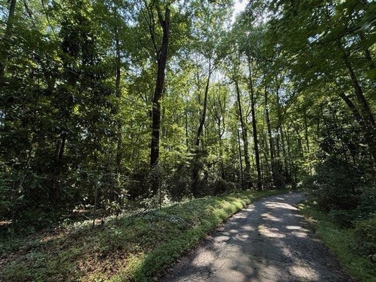 1541 WITHMOOR TER, AUSTELL, GA 30168 - Image 65706d89eabbd532cc0c8acad3b532b2/3074329509