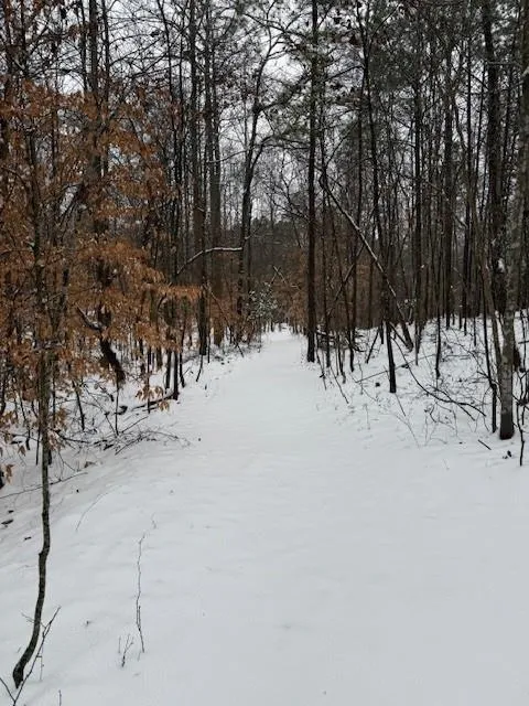 Roswell, Georgia 30075, United States, 4 Bedrooms Bedrooms, ,4 BathroomsBathrooms,Residential,Pending,78573