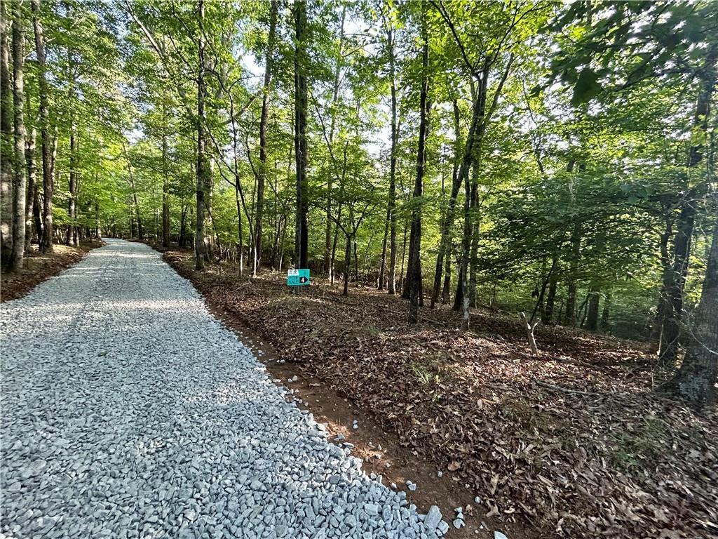 03 Kate Road, Dahlonega, Georgia image 3
