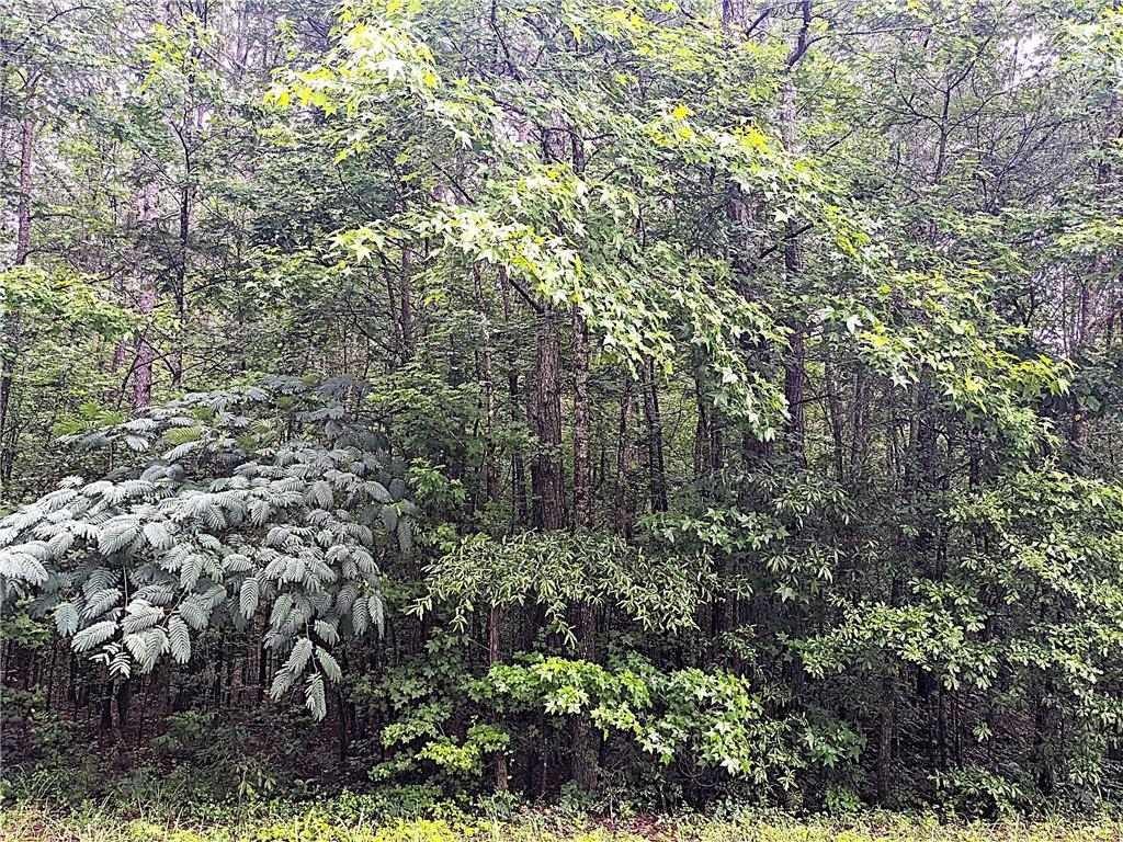 392 Old Griffin Road