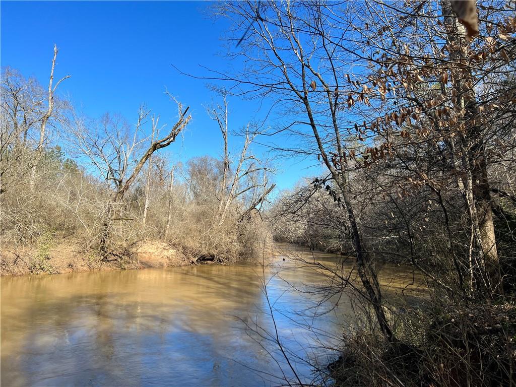 TRACT5 Rocky Plains Road, Covington, Georgia image 4