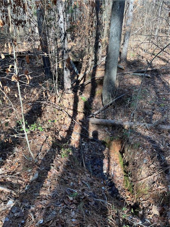 TRACT5 Rocky Plains Road, Covington, Georgia image 1