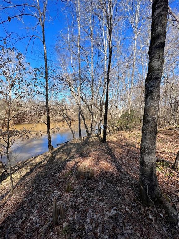 TRACT5 Rocky Plains Road, Covington, Georgia image 8