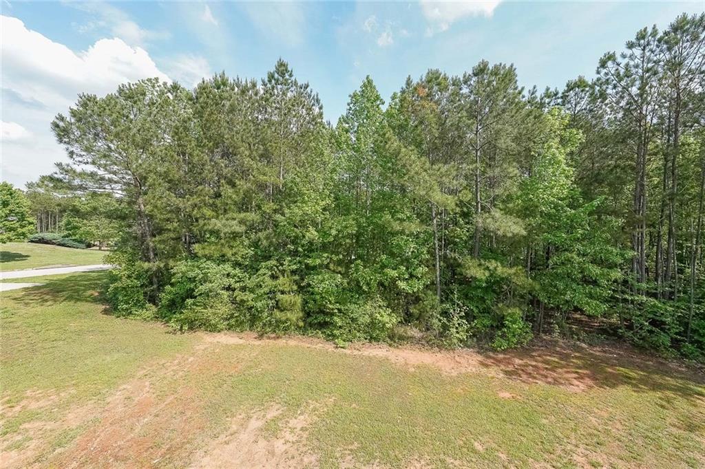 8090 Tristan Way, Whitesburg, Georgia image 30