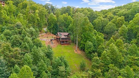 A home in Mineral Bluff