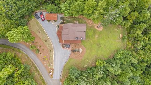 A home in Mineral Bluff