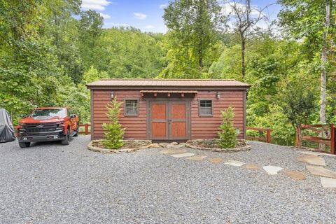 A home in Mineral Bluff