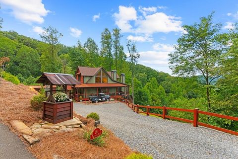 A home in Mineral Bluff