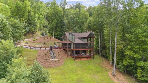 A home in Mineral Bluff