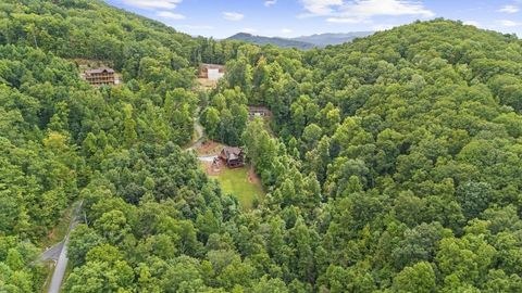 A home in Mineral Bluff