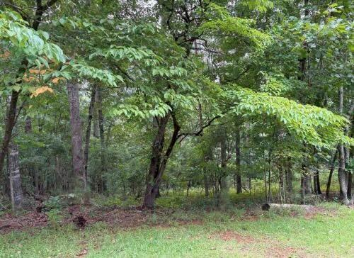 An Amazing opportunity!!! Over 5 acres of desirable land in Ballground, recently appraised at $230K. Beautiful wooded lot in an excellent location. Mountain property with paved roads close to Canton. Desirable area and easy access to Atlanta and Ellijay. This lot features privacy from adjacent lots (even in the winter), extensive hardwoods and dogwood trees on a cul-de-sac. This location is only 10 minutes from 575, easy access to I-75 (Atlanta/Chattanooga), 50 minutes to downtown Atlanta and 40 minutes to GA wine country. No HOA and low taxes. Looking for privacy and solitude? This is it! Wooded lot, Buyer responsible for survey, zoning verification, during due diligence.