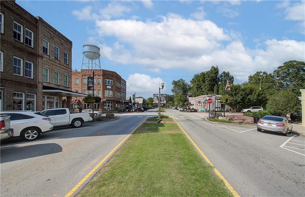 88 Slick Court, Senoia, Georgia image 32