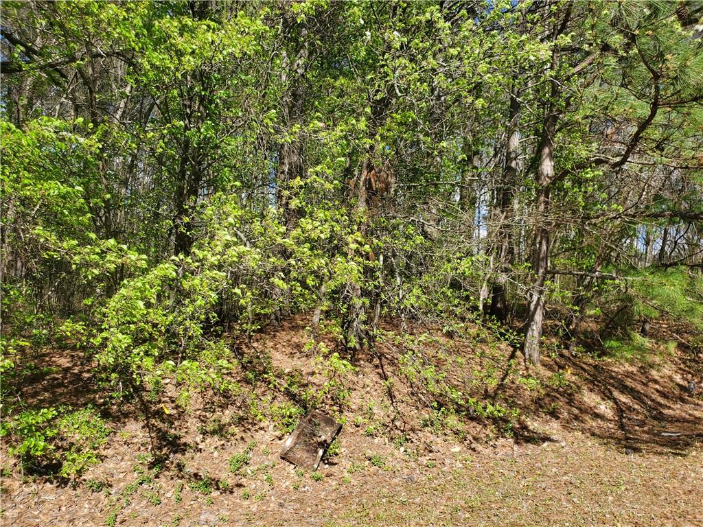 Residential lot located on the corner of Gus Robinson Rd and Macland Rd. The property is in Lovinggood and Hillgrove school districts. Bring your builder and ideas to build your dream home.