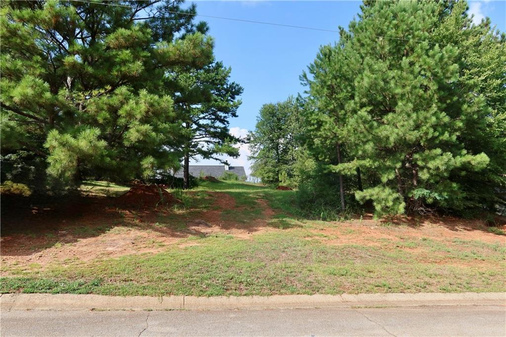 191 Georgia Belle Dr