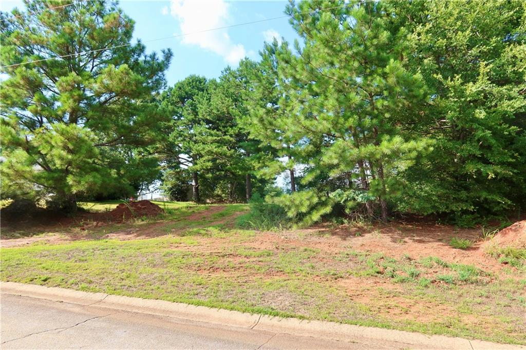 191 Georgia Belle Dr