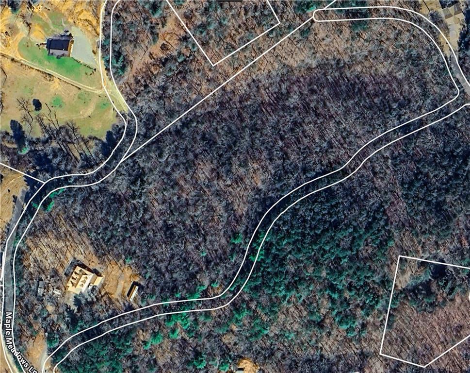 230 Maple Meadows Lane, Morganton, Georgia image 42