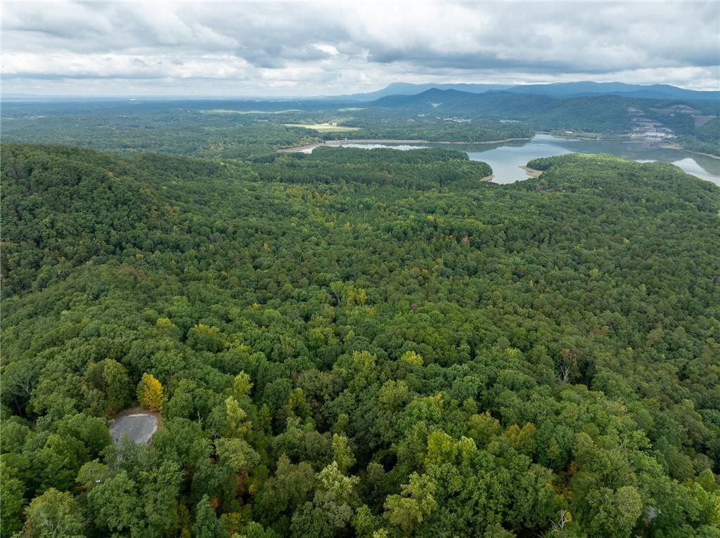 Carters Overlook, Ranger, Georgia image 4